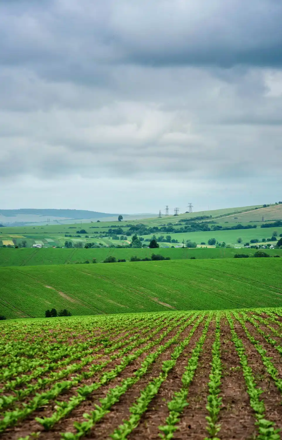 Agricultural Lands